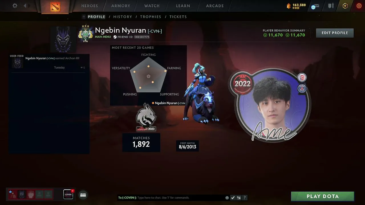 dota only