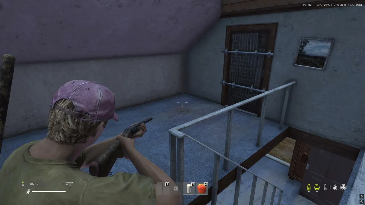 Jugando por primera ves el DayZ!