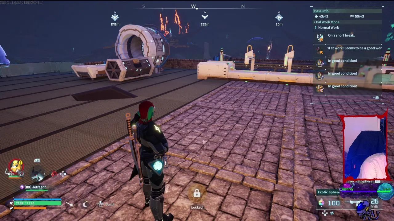 playing with the pals
