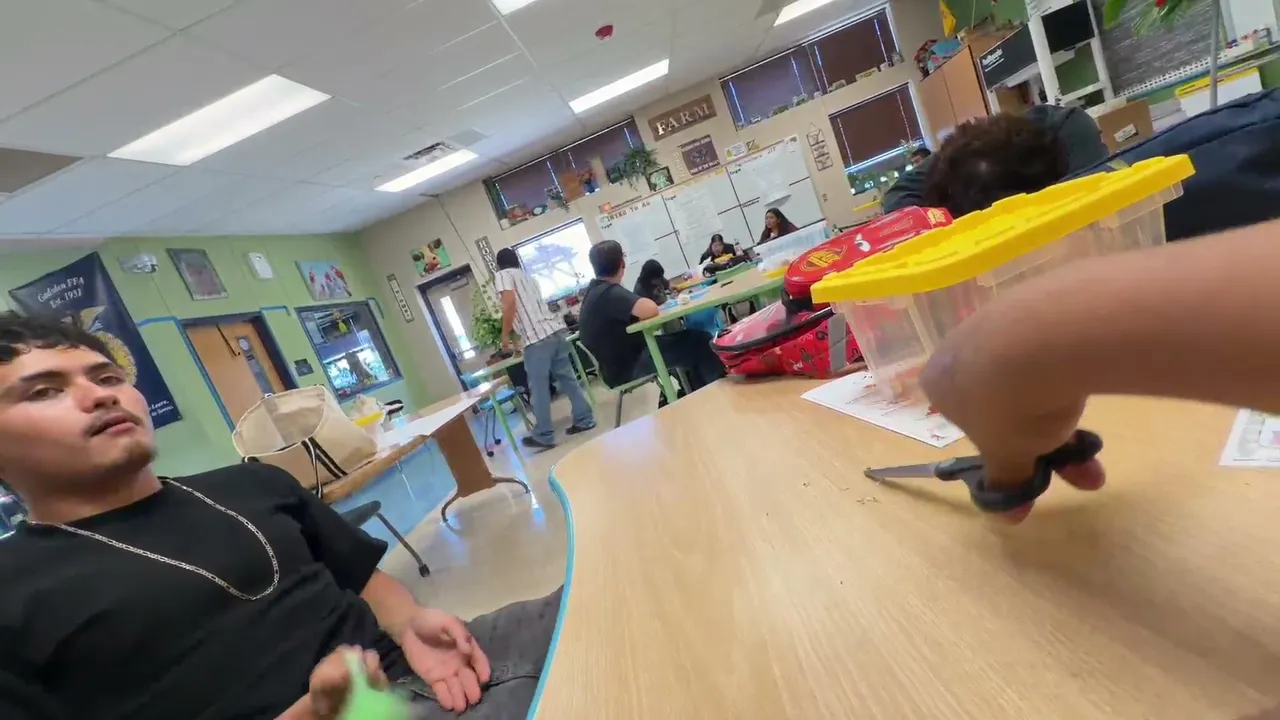 school stream