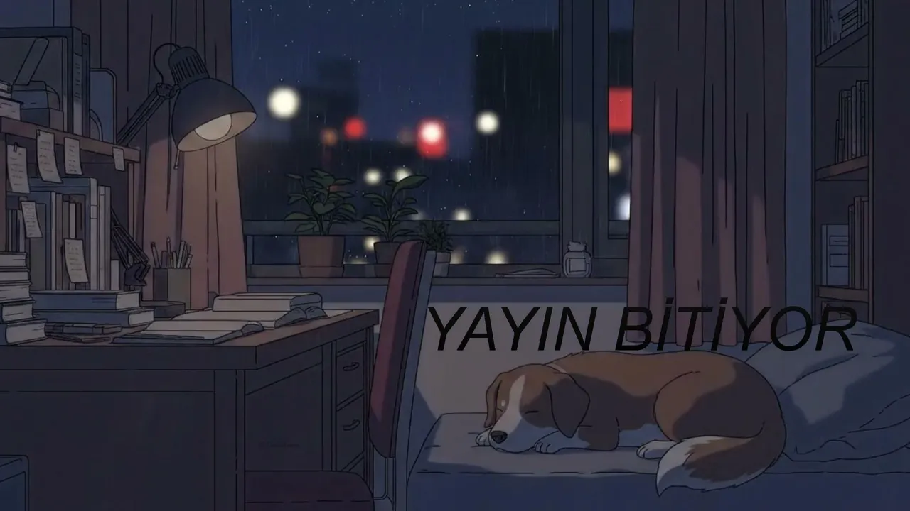 öyle veya böyle

!wp - !dc - !yt - !ig