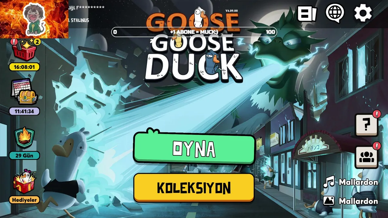 goose goose beach