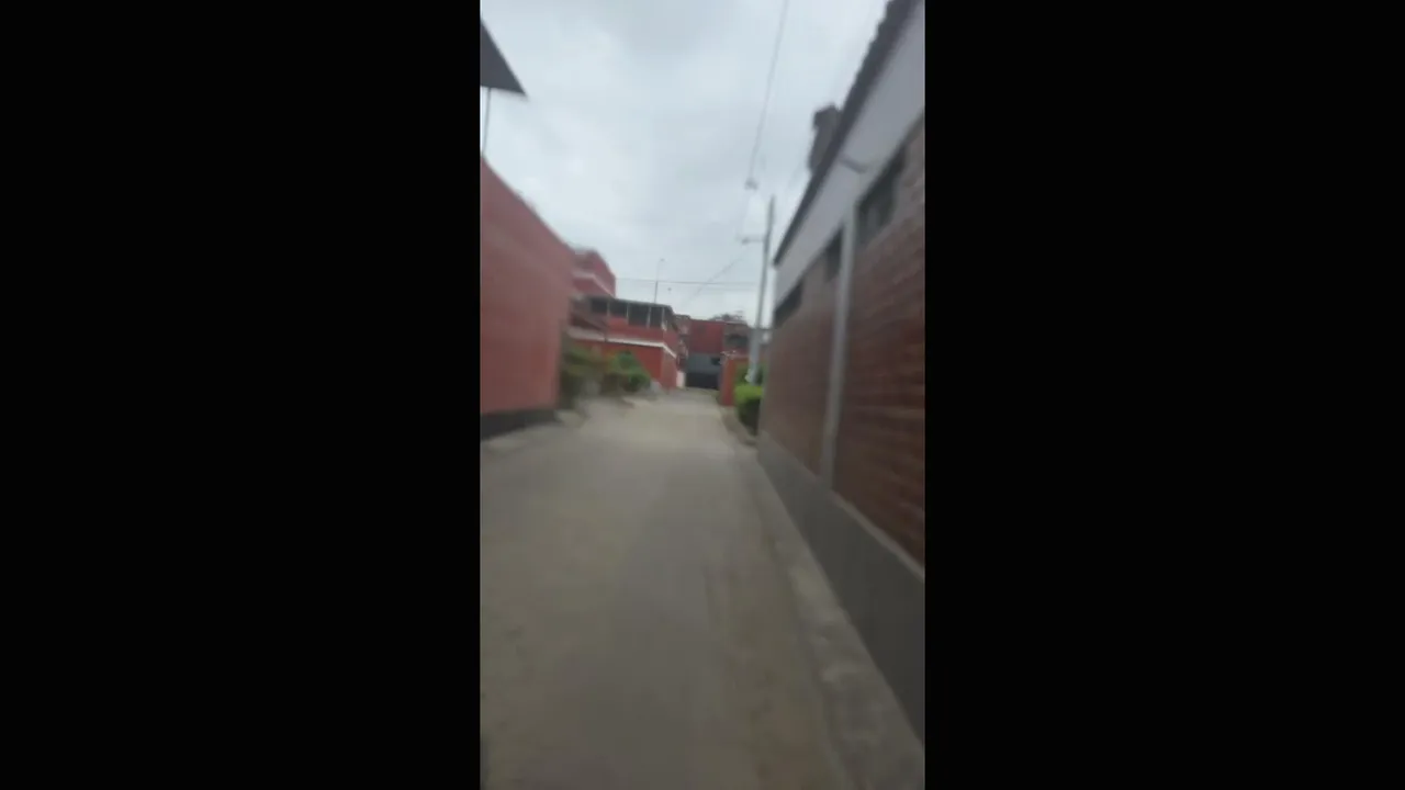 Transmisión en directo de EmperadorySultan