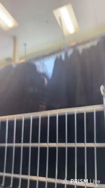 Transmisión en directo de deryo
