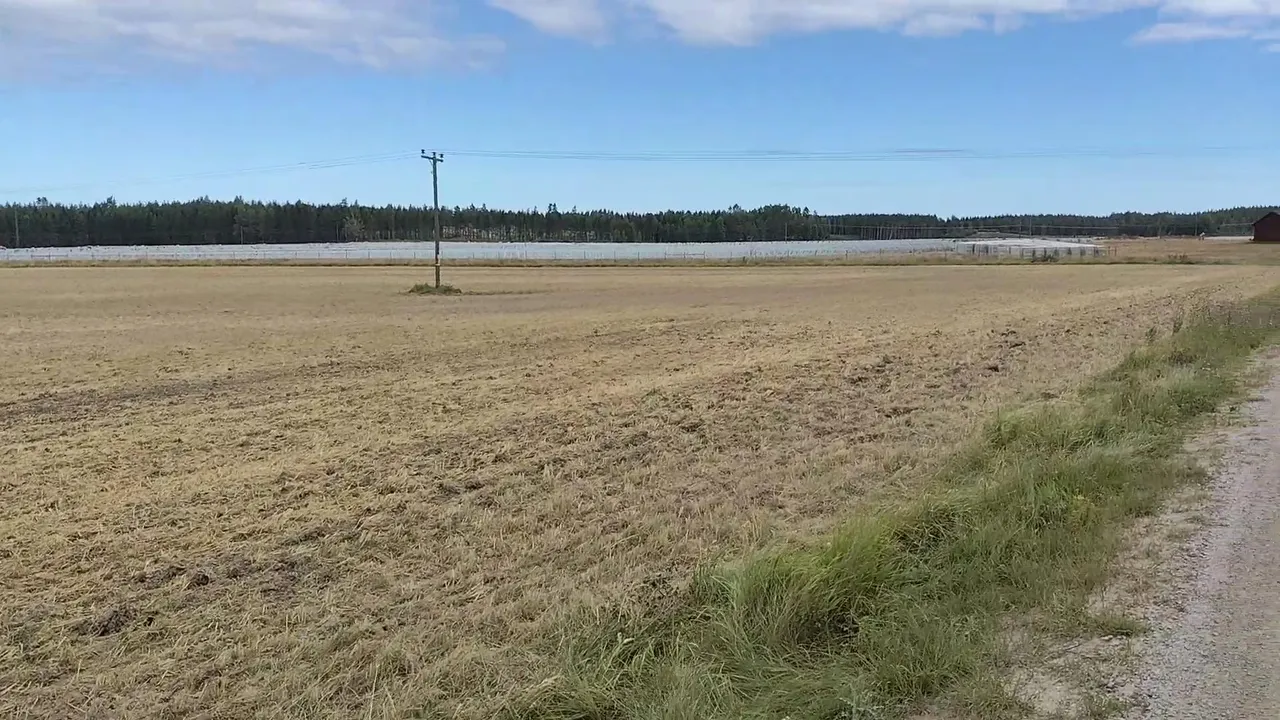 Hej en liten tanke igen