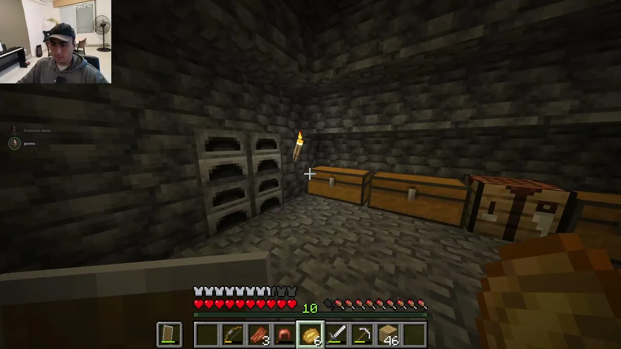 MINECRAFT CON LA VAGANCIA