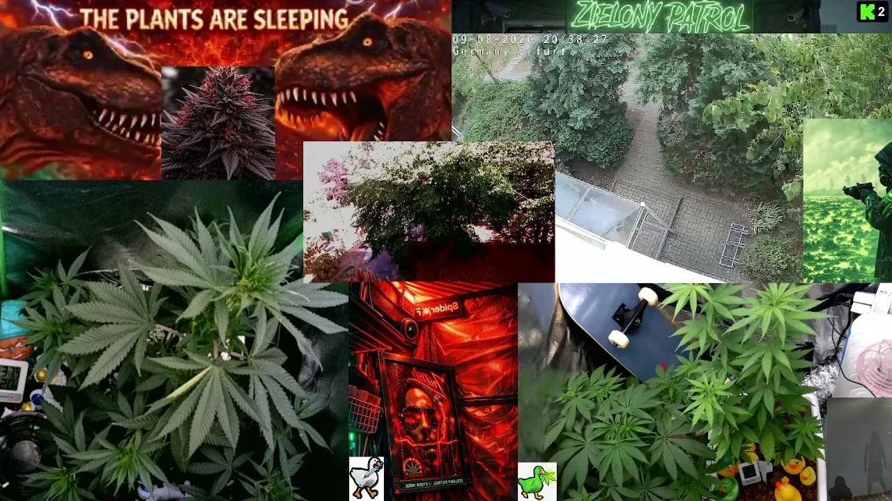 Green Patrol LIVE 24/7  Cyber-Green Nature Camera  Silent Plant Observation  Deep Chill Atmosphere Educational & Relaxing Stream Germany