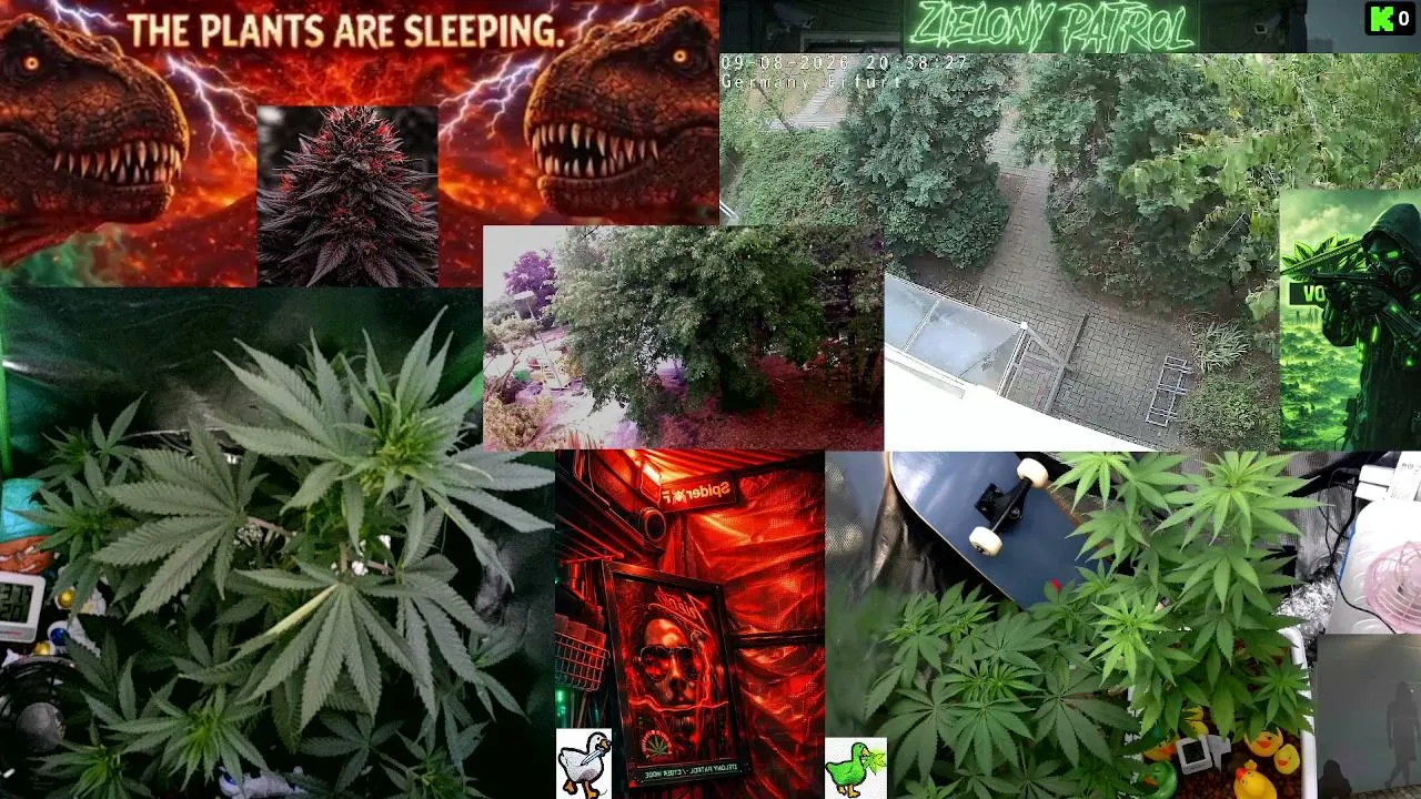 Green Patrol LIVE 24/7  Cyber-Green Nature Camera  Silent Plant Observation  Deep Chill Atmosphere Educational & Relaxing Stream Germany