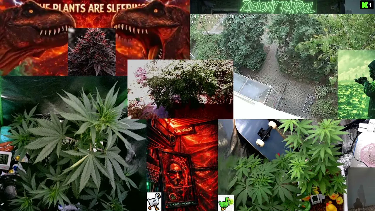 Green Patrol LIVE 24/7  Cyber-Green Nature Camera  Silent Plant Observation  Deep Chill Atmosphere Educational & Relaxing Stream Germany