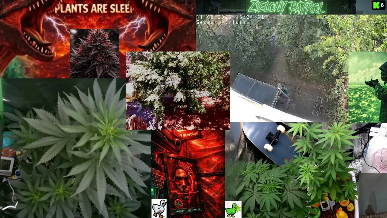 Green Patrol LIVE 24/7  Cyber-Green Nature Camera  Silent Plant Observation  Deep Chill Atmosphere Educational & Relaxing Stream Germany