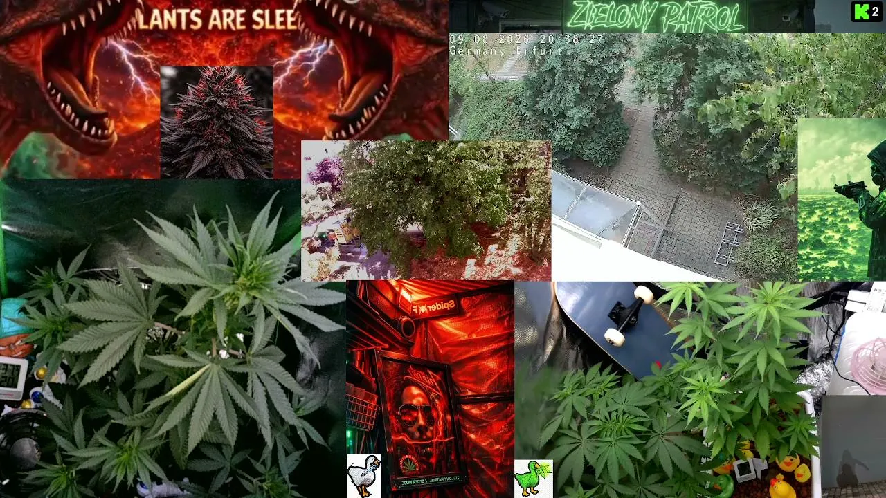 Green Patrol LIVE 24/7  Cyber-Green Nature Camera  Silent Plant Observation  Deep Chill Atmosphere Educational & Relaxing Stream Germany