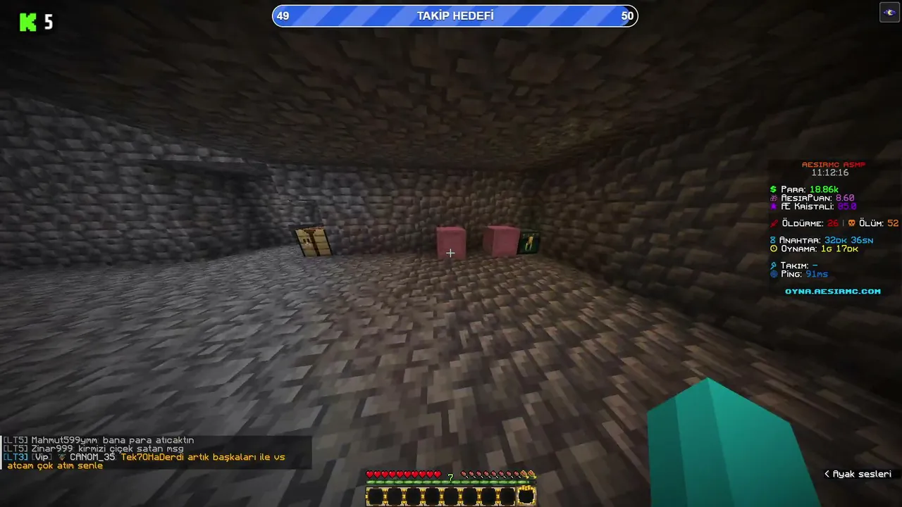(EKİP ALIM AÇIK) AESİR SMP | Kahveni Al Gel, Takılıyoruz ☕ | !sosyal !discord
