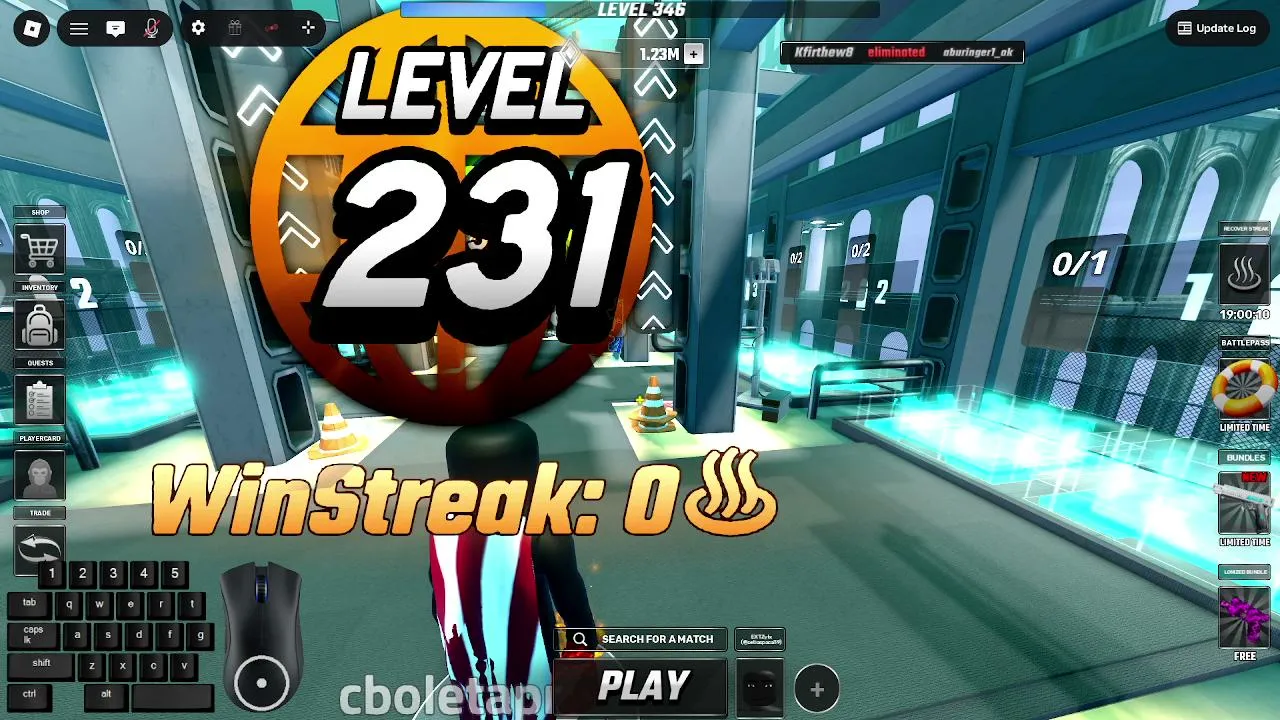 Duelist Roblox