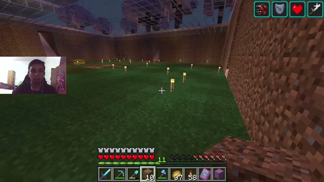 Prueba de Stream Farlands