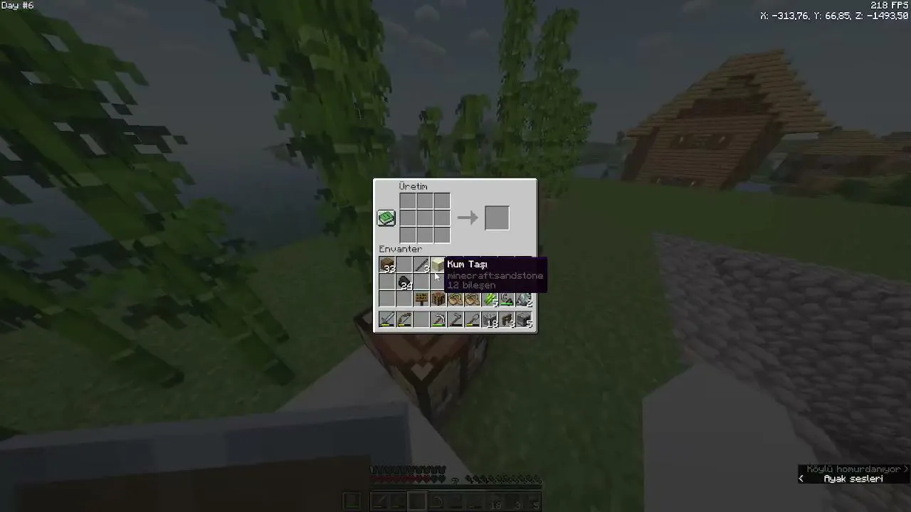 Minecraft Hardcore