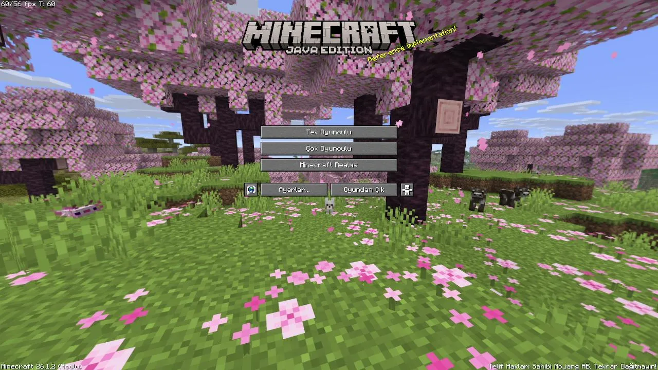 izleyicilerle minecraft