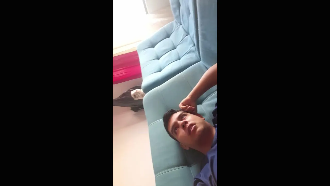 bya2323 stream