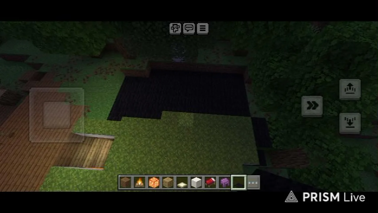 first time in Minecraft