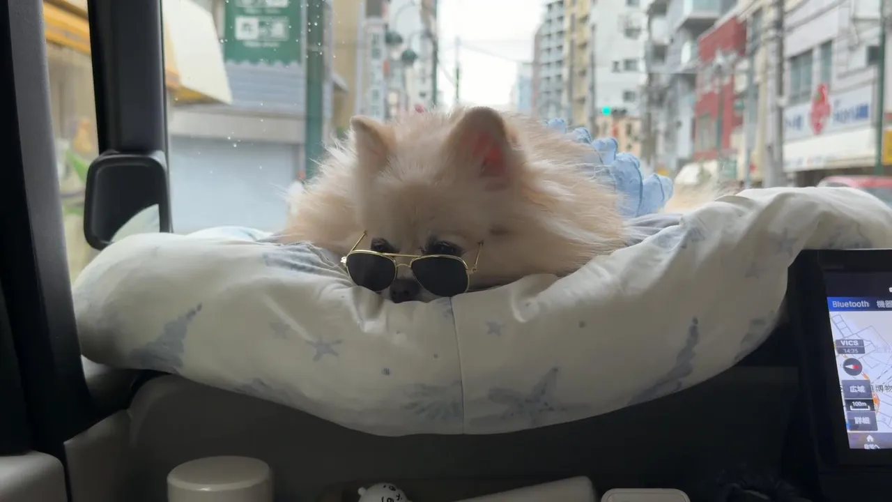 My first stream.