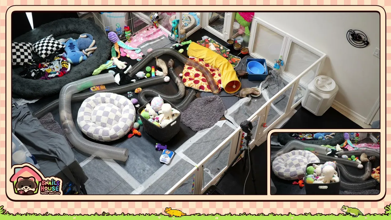 Ferret Time! 💜 @PirateSoftware 💛  https://ferrets.live