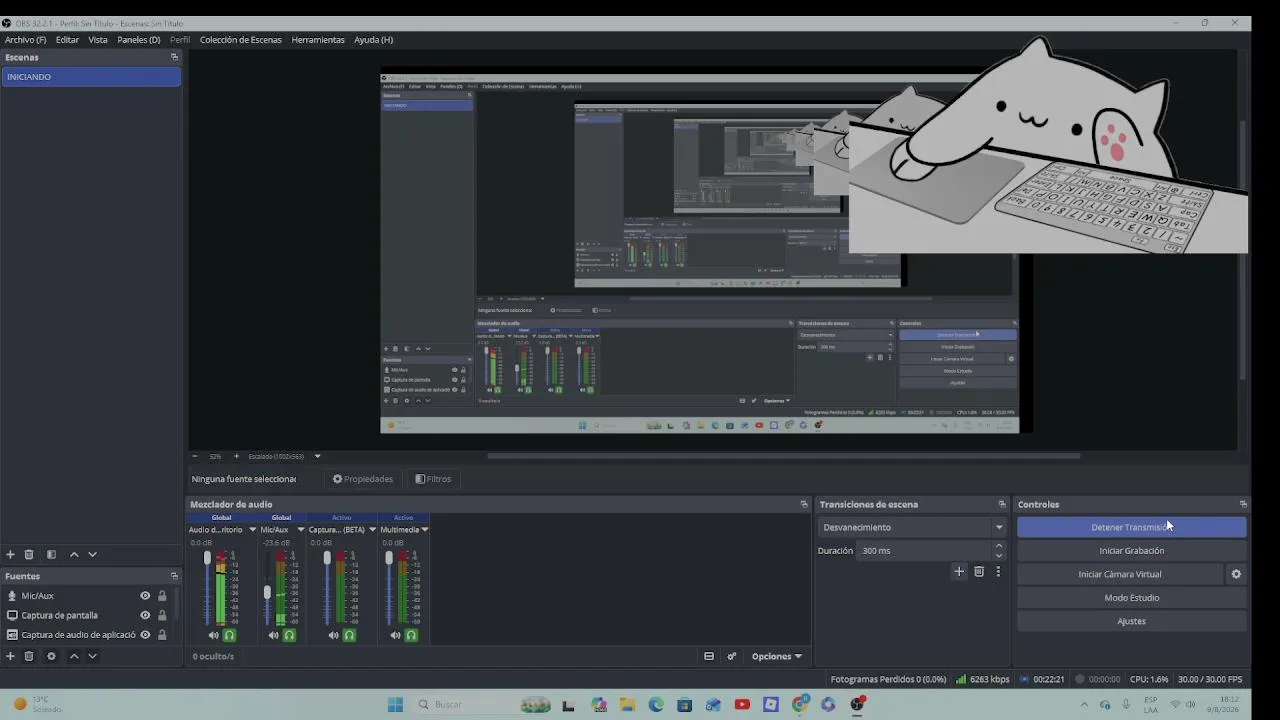 My first stream.