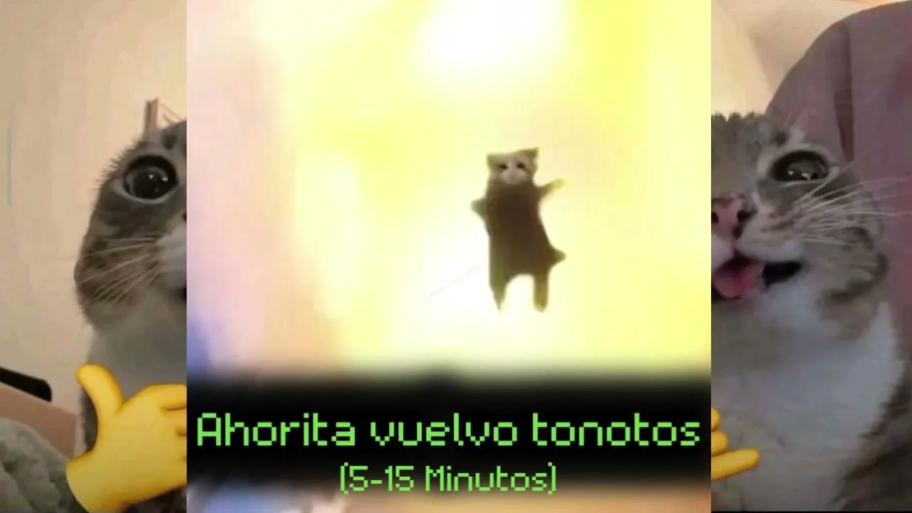 veni a pasar la tarde/noche con tu pampeano favorito top1 minecraft speedrunner🤘🤘😈😈      jarvis pone la pava🔥🔥