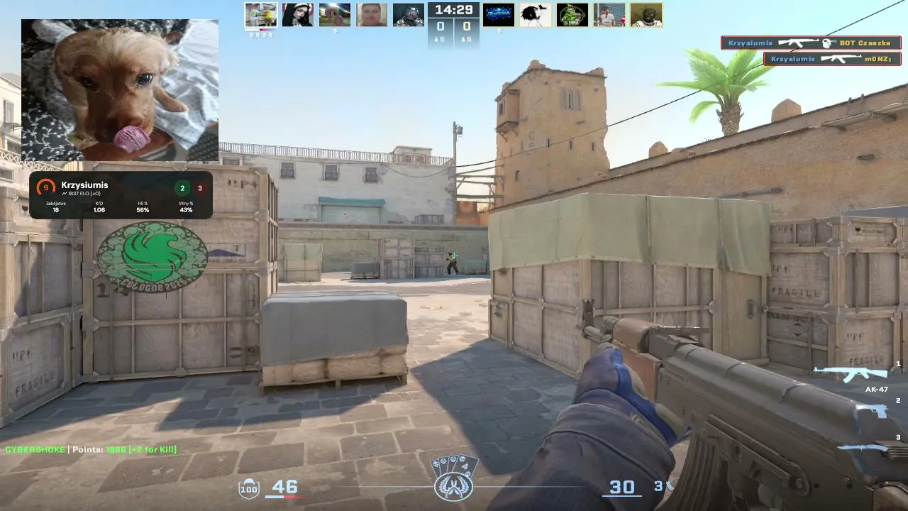 Wracamy do 10 lvl Faceit!