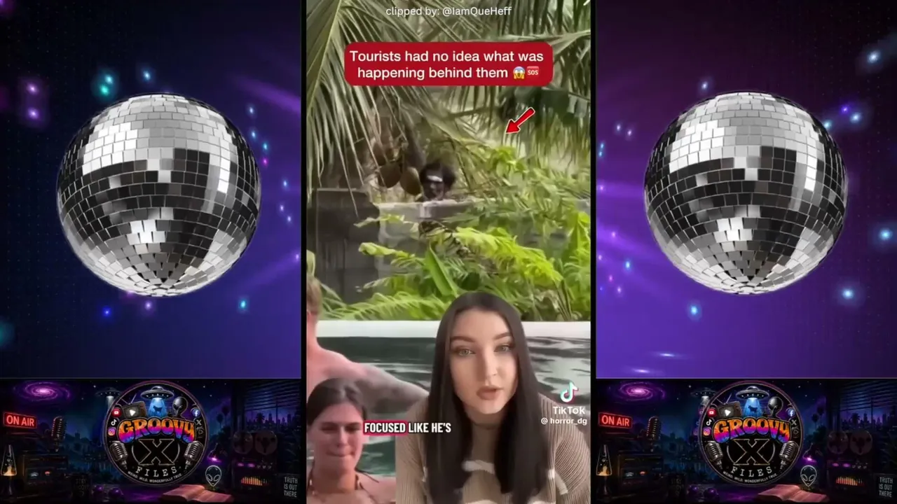 LIVE: AI Spider Creatures + More Wild Clips