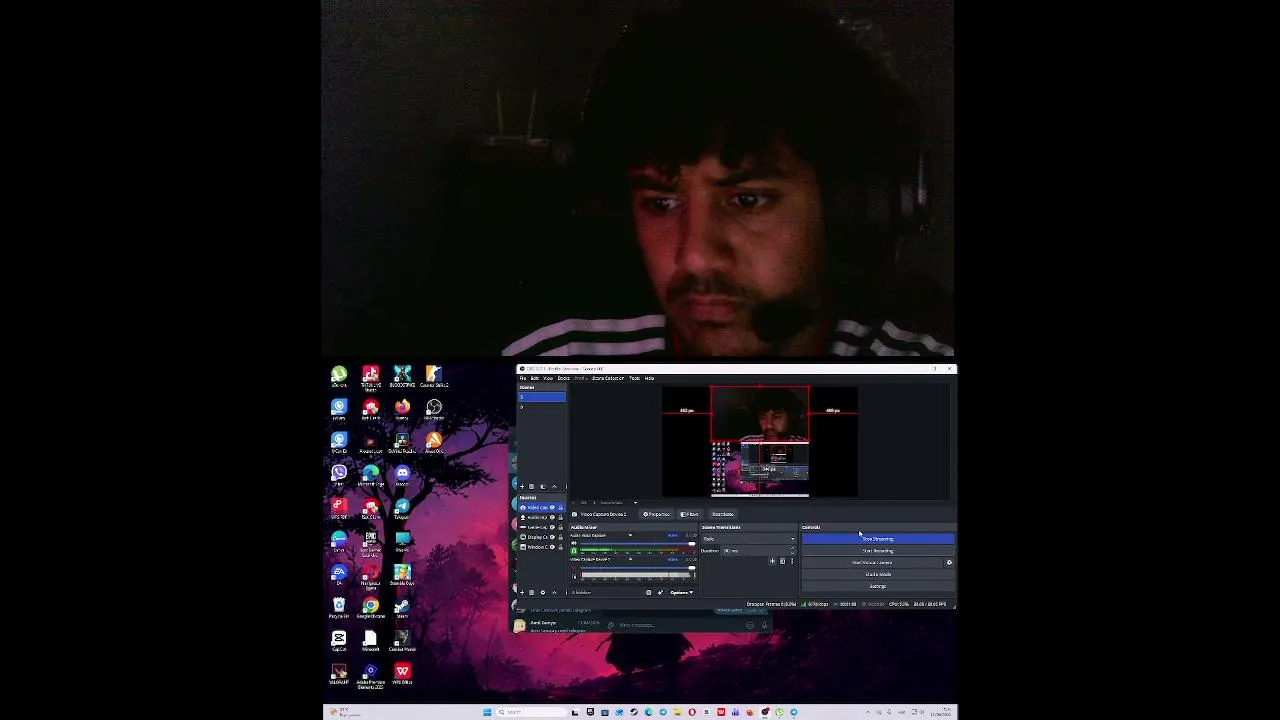 اليوم فيها فالورانت