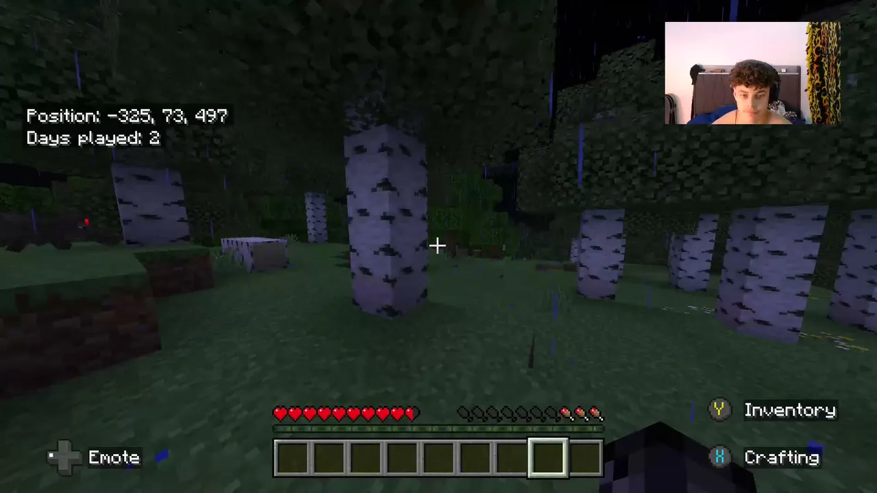 minecraft stream come watch