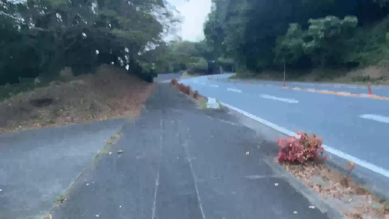 ウォーキング