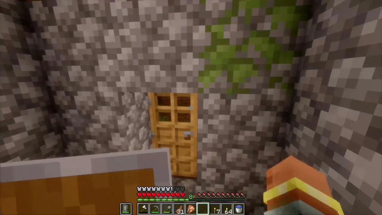 Minecraft Survival/1