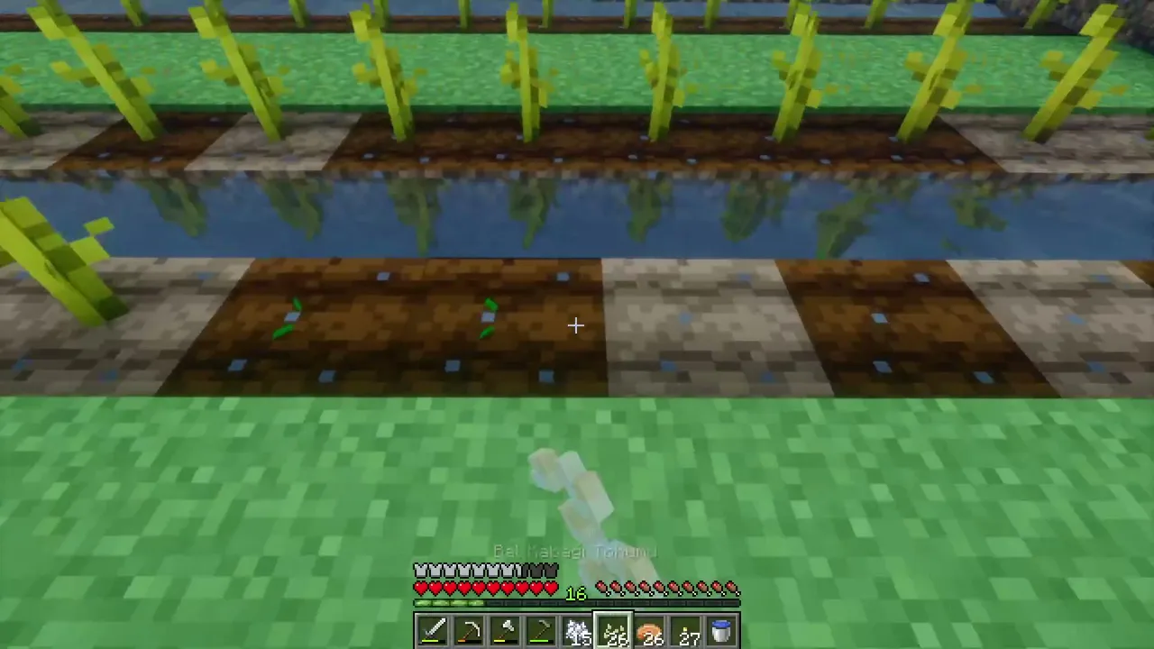 Minecraft Survival/2
