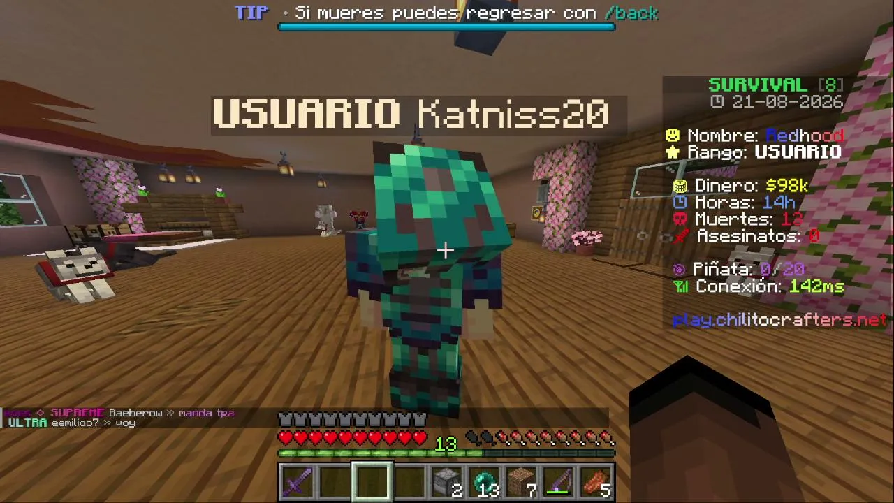 Minecraft survival