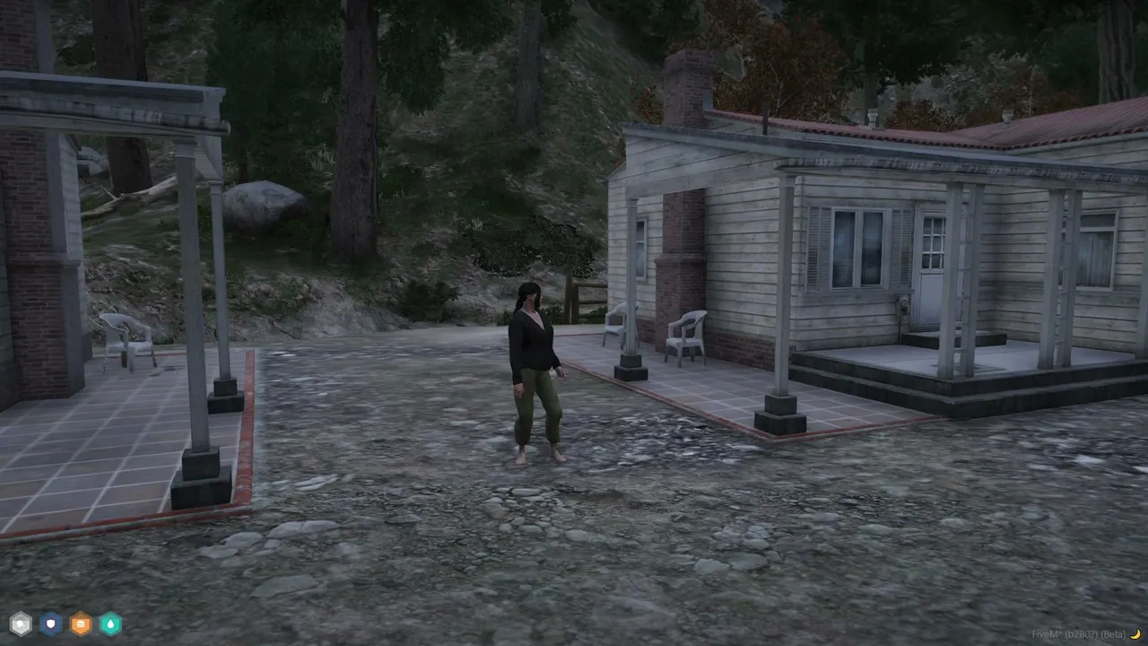 Nancy Oksana | Begging, Cooking, Stealing | NoPixel 4.0 WL