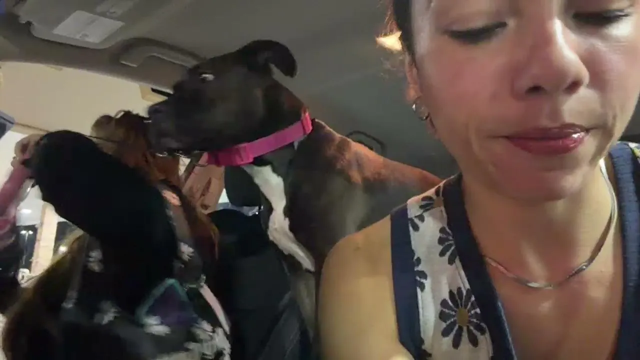 THE VELVET HOUR SHOW road trip w/ Rem & Mac 🌺