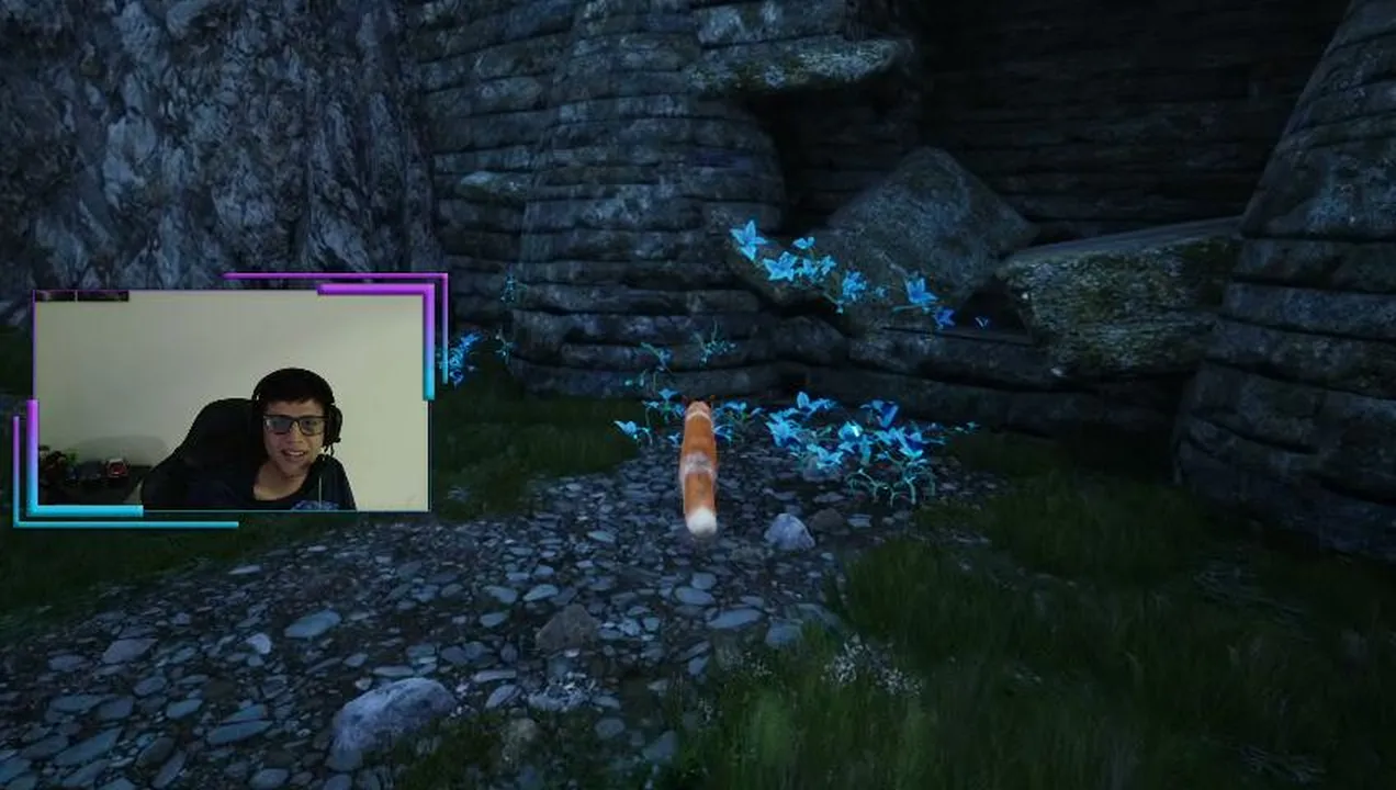 My first stream.