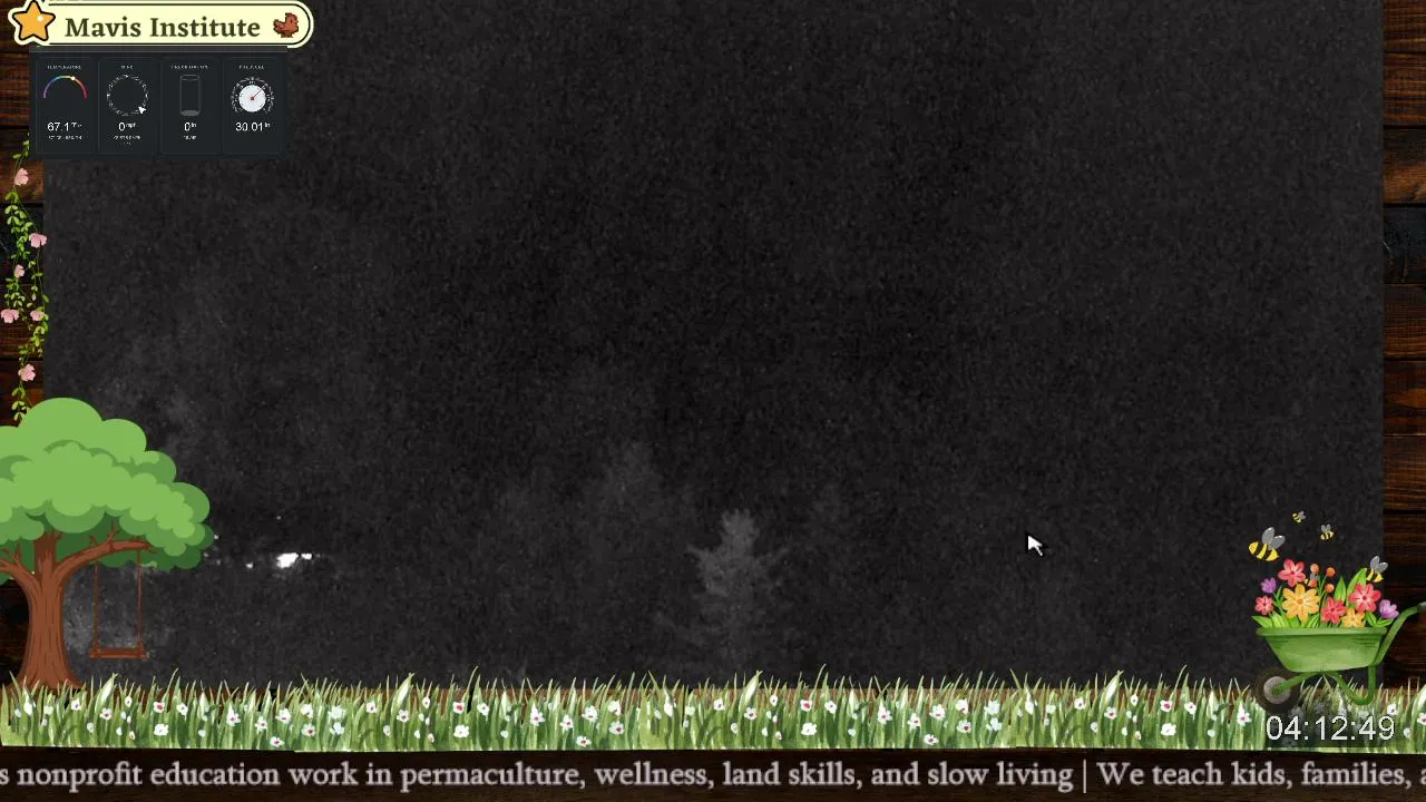 Mavis Farmacy 24/7 🌱 | Holler Radio 🎶 | Live Appalachian Farm Cam (Chickens, Ducks & Garden)