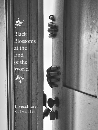801 Their World is Virtually Done by Invecchiare Selvatico
