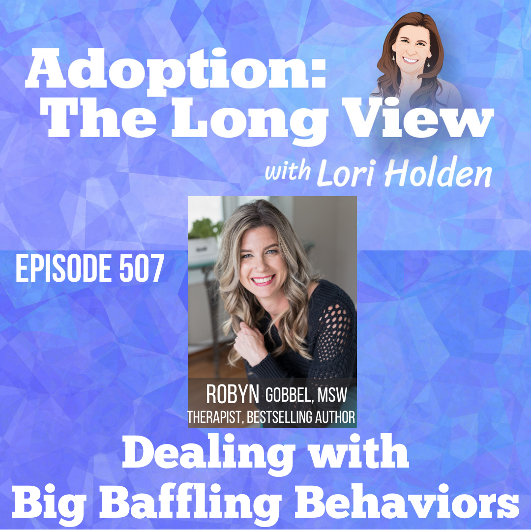 507: Dealing with Big Baffling Behaviors with Robyn Gobbel