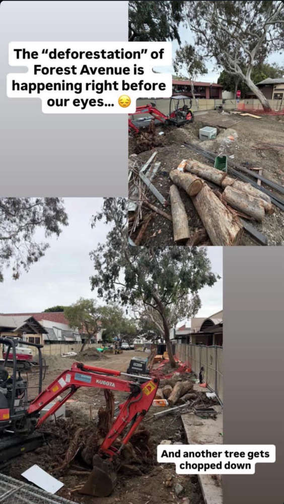 Tree, and Communication, Failure