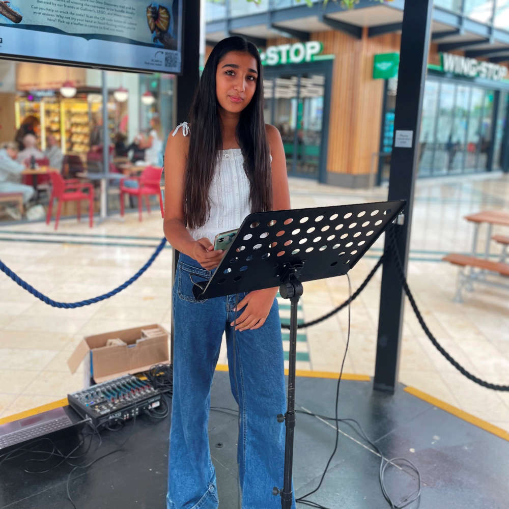 Boulevard Unplugged - Sara Gill
