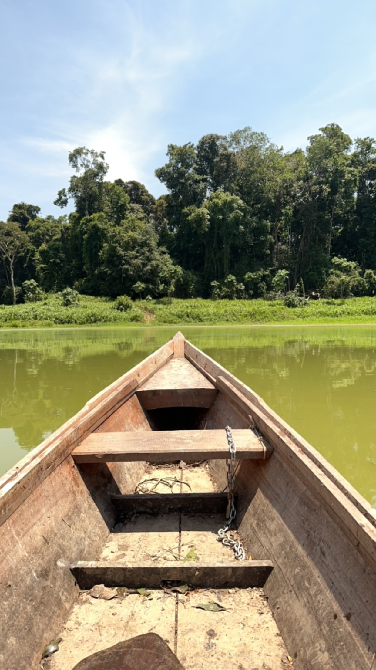 E3 Amazonas del 2