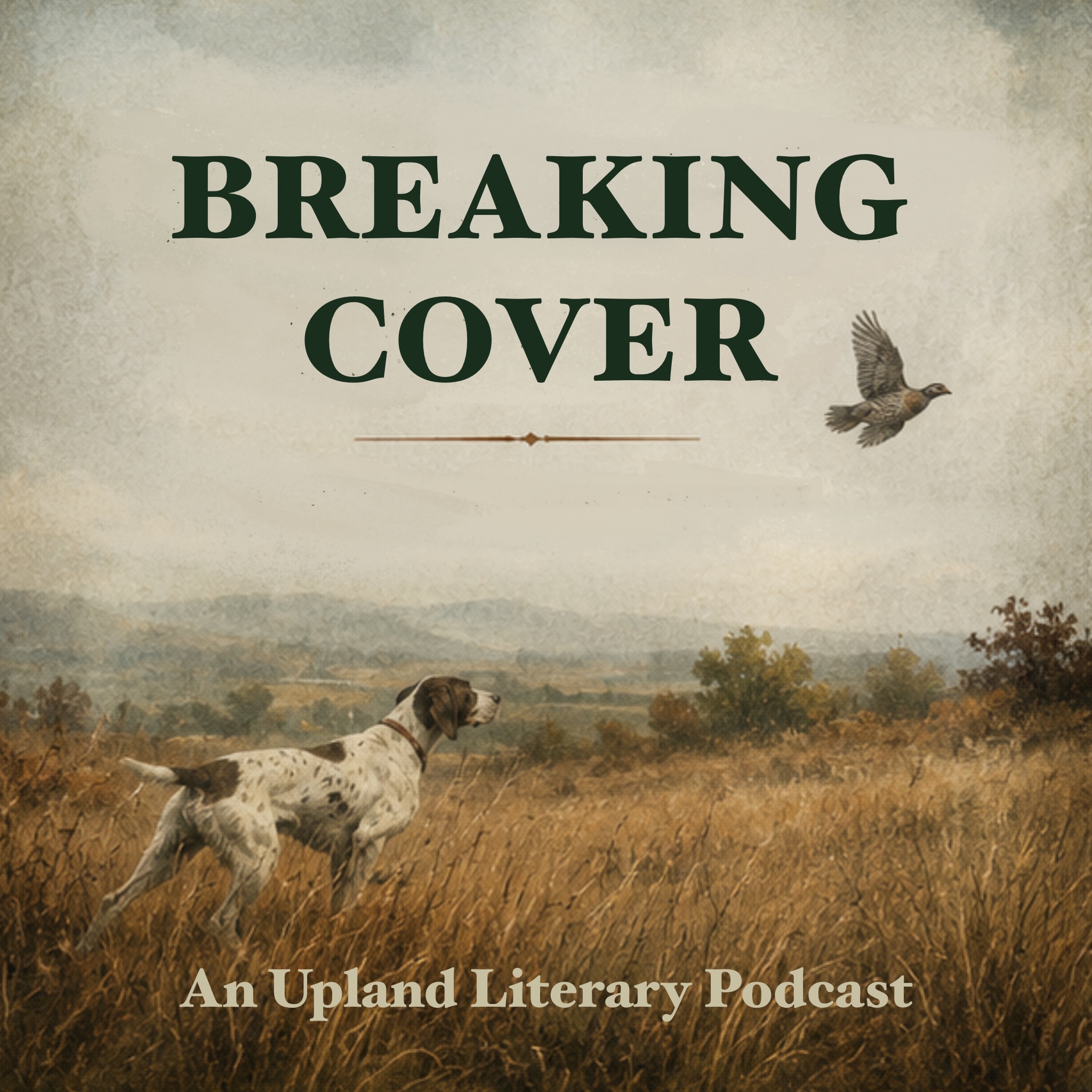 Breaking Cover