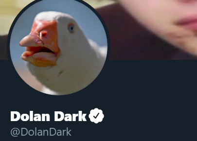 By some miracle my twitter account got verified. Unfortunately this means I've now gotta spend every hour of every day replying to Trump, sorry guys 