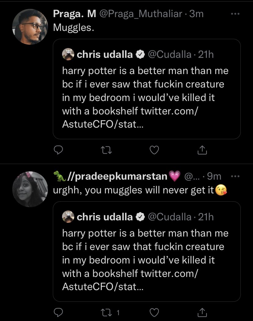 first thing i see when i wake up is grown adults calling me the harry potter n word this is insane 
