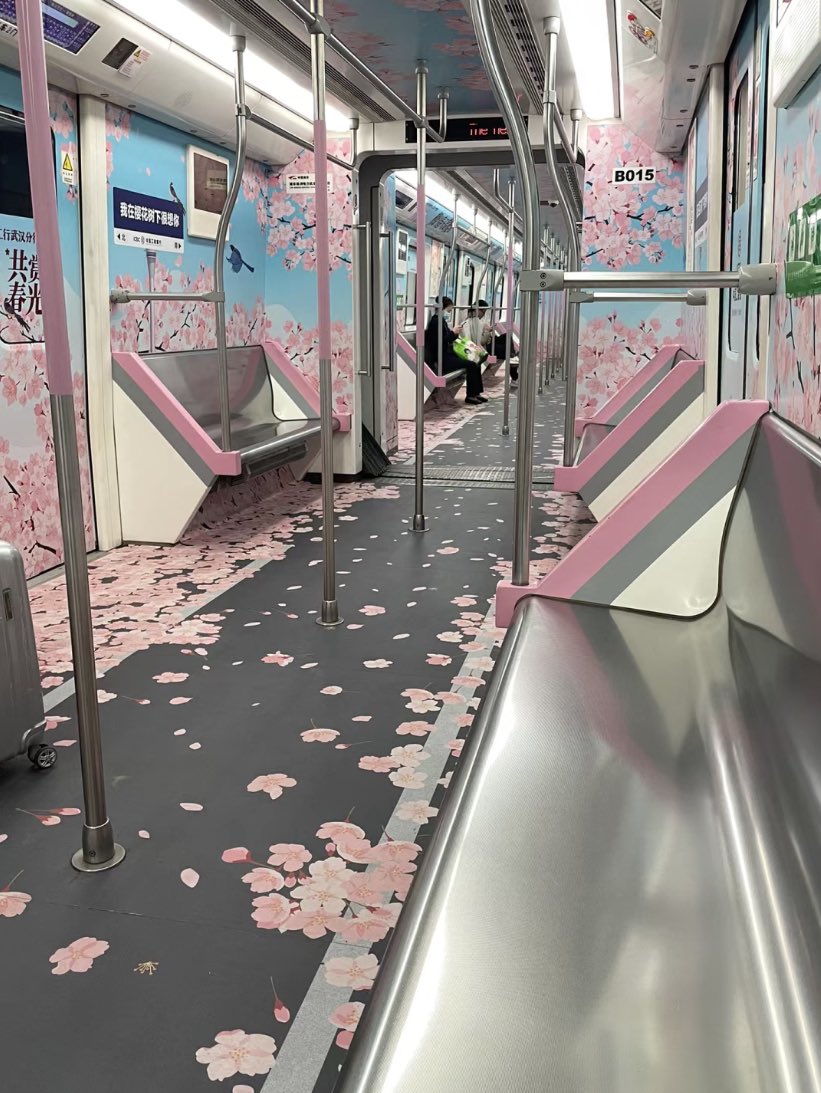 cherry blossom theme train 