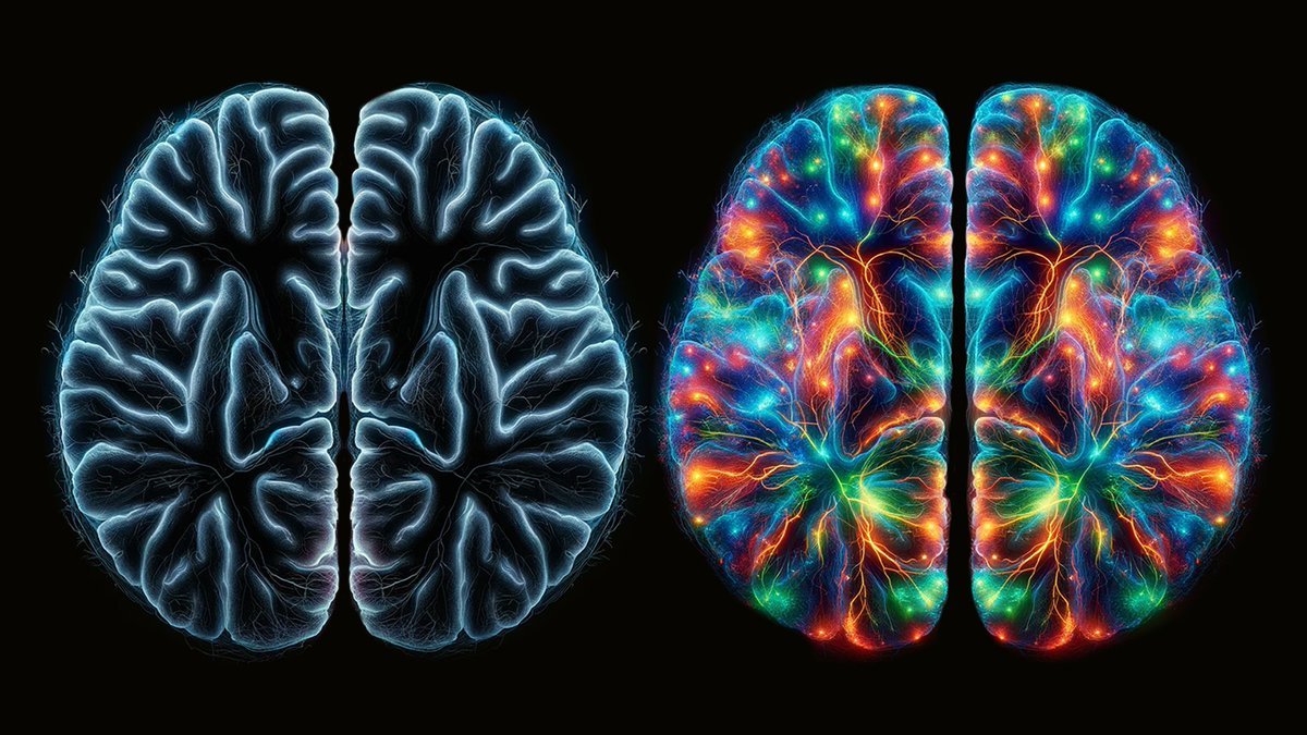 If your brain isn’t healthy, neither are you.

Most people are slowly killing their brain without realizing it.

Here are 12 bad habits hurting your brain (and how to fix them): 