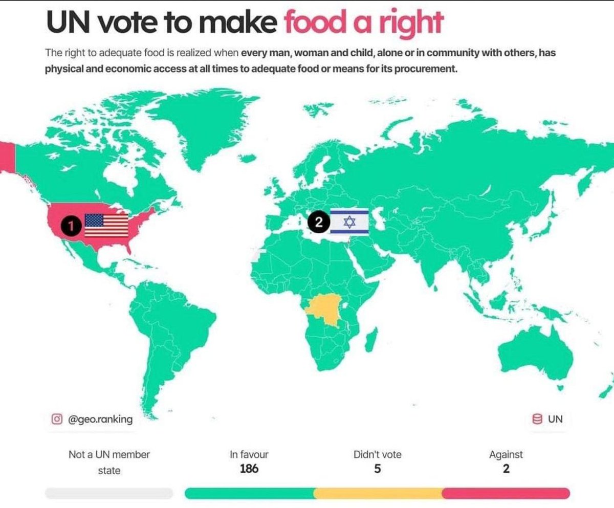 Don't forget that, in 2021, the US and Israel were the only countries at the UN to vote against making food a human right. 