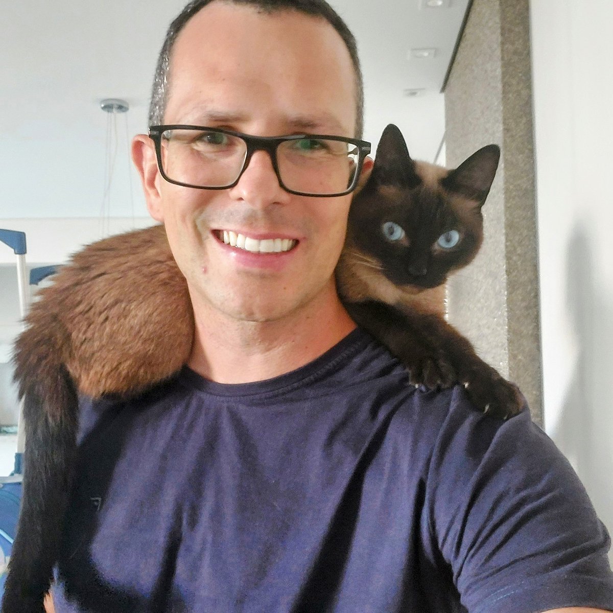 Certa vez cheguei do consultório e havia um gato na garagem 
Ele me acompanhou até o elevador 
Quando chegou meu andar, sem mais nem menos, ele entrou no apartamento 
Deu uma volta pela casa, deitou no sofá e dormiu
MAIOR CARA DE PAU

Faz 7 anos desde que meu parceirão me adotou 